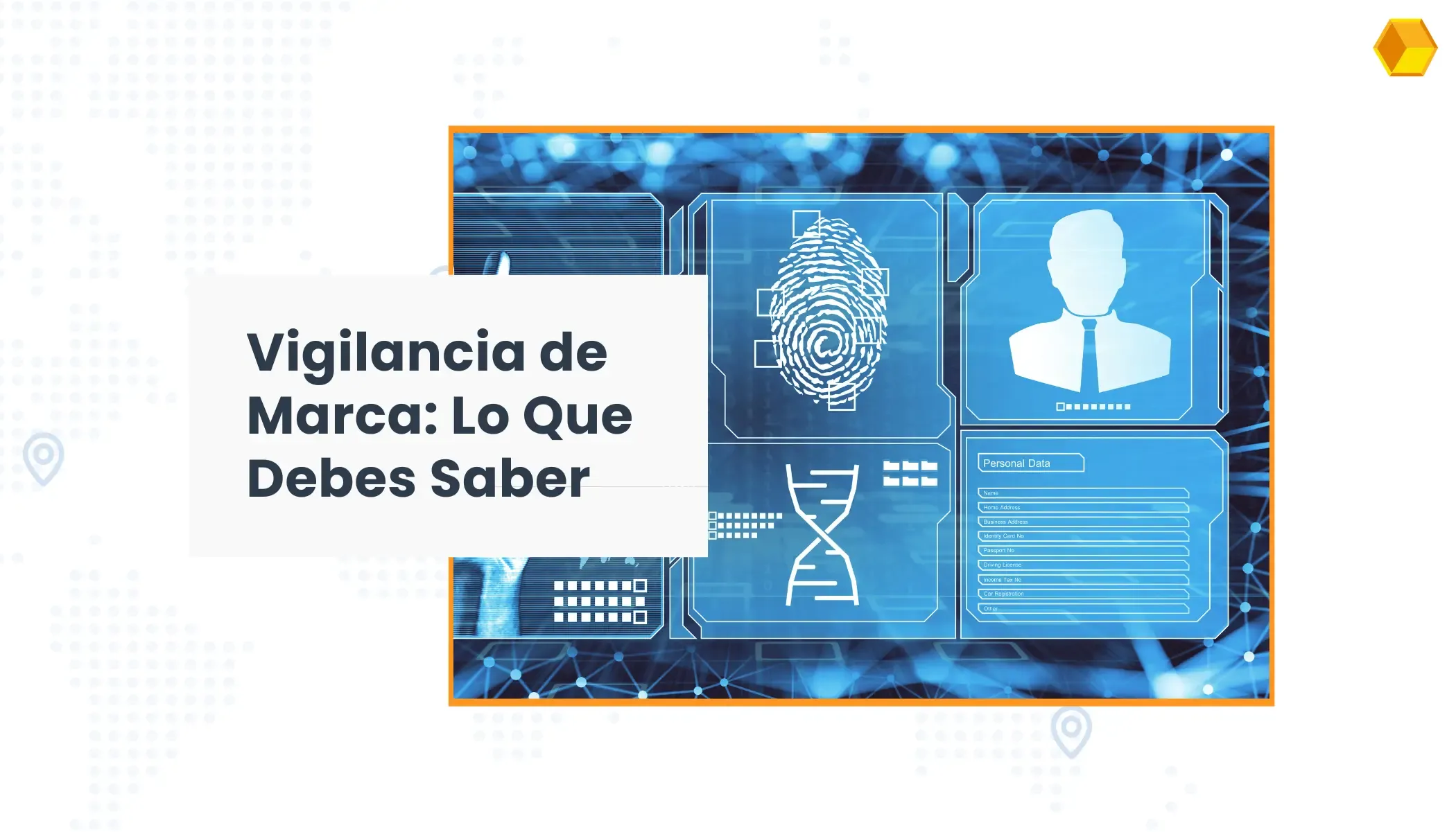 Vigilancia Marcaria