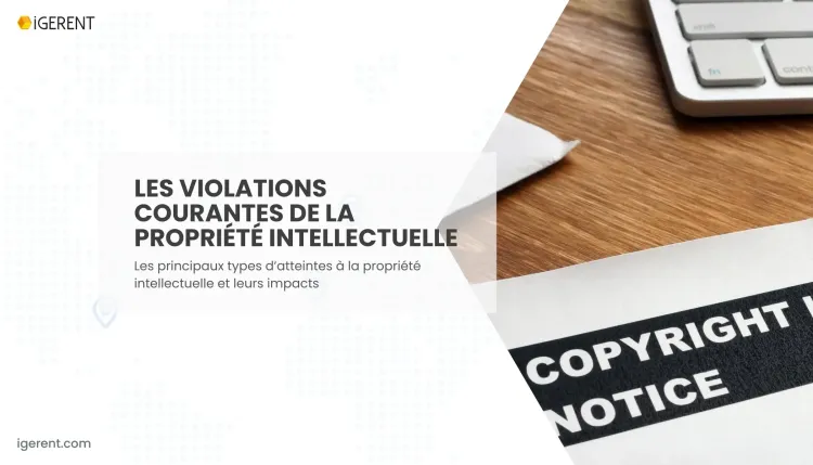 Qu'est-ce que les infractions à la propriété intellectuelle ?