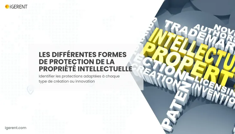 Quels types de propriété intellectuelle existe-t-il ?