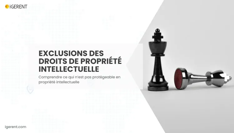 exclusion des droits propriété intellectuelle
