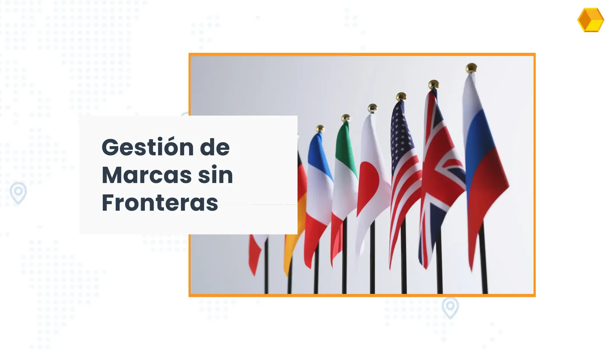 Portafolio Internacional de Marcas: Estrategia Práctica